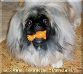 Savelina Neonilla Ardillia Palasio (Nilka) - Russian Young Champion