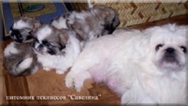 Celya and her childrens