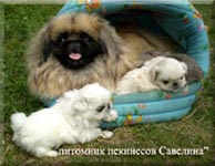 Esya and her childrens