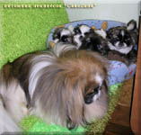 Danja Ball and his childrens