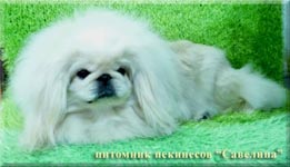 Charodeyka for Savelina