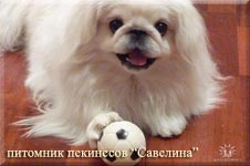 Do you want a play with me?
