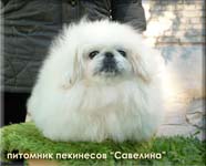Savelina Zhenevieva Christa Bell
