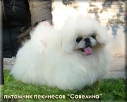 Savelina Zhenevieva Christa Bell