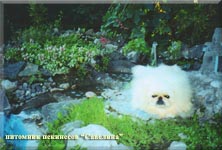 Kandi in the garden