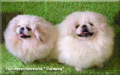 Kris and Leni in 5 months