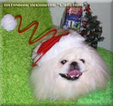Merry Christmas and Happy New Year from Savelina Romil Christmas
