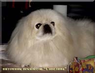 Leni (Savelina Reasa Snegurochka) owner fr. ter Horst, Germany