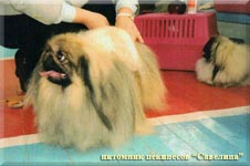 Modest and Anfisa in the dog Show