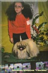 Modest - Best of Junior in a International Dog Show