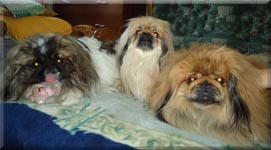 Savelina Janson J Rossini, Savelina Enika, Savelina Cezar Rubin