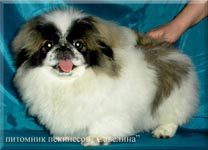 Rus in 4 months