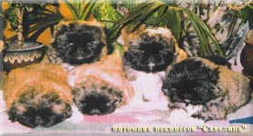 Saveliy`s childrens