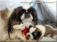 Sima and her son Umka age 2 weeks