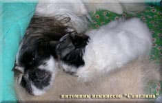 Sima and her son Schedrik