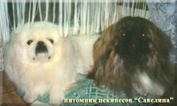 Snejana and Zarina