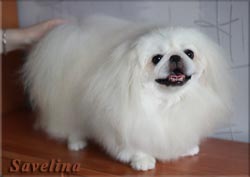 Бэлла