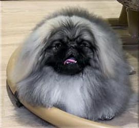 Эдгард