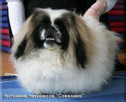 Umka