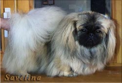 Вивиана