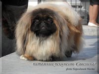 Pchelka - Best female of Breed!