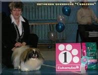 13.02.10 Best of Breed, Best of GROUP and new Champion of Russia - Savelina Da-Nit High Ball!