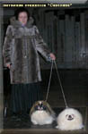 13.02.10 Kris - Best of Junior, Danya Bol - Best of Breed and Best of Group!