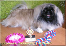 20.03.10 Savelina Neonilla Ardillia Palasio - JCAC and Russian Young Champion!