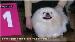 24.01.10 Christmas is a Best of breed
