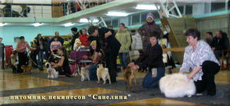24.01.10 Christmas is a Best of breed