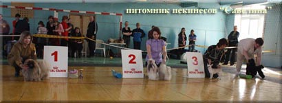 24.04.10 Savelina Illarion Erotuz - BIG-I, BIS-II!!!