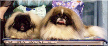 Liska and Danja Bol